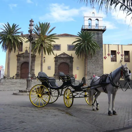 Mit Sonnenterrasse Und Panorama - Meerblick, 5 Min. Von Hafen + Apartman Acantilado de los Gigantes