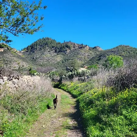 Apartman Mit Sonnenterrasse Und Panorama - Meerblick, 5 Min. Von Hafen +